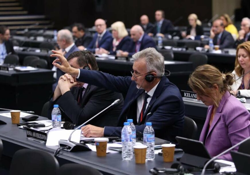 MILORAD DODIK NA "APARATIMA" Obren Petrović učestvuju na zasjedanju NATO u Sofiji