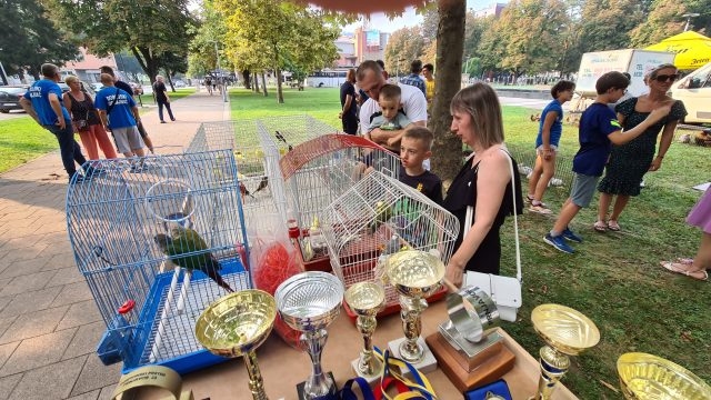 DOBOJ: Otvorena izložba sitnih životinja