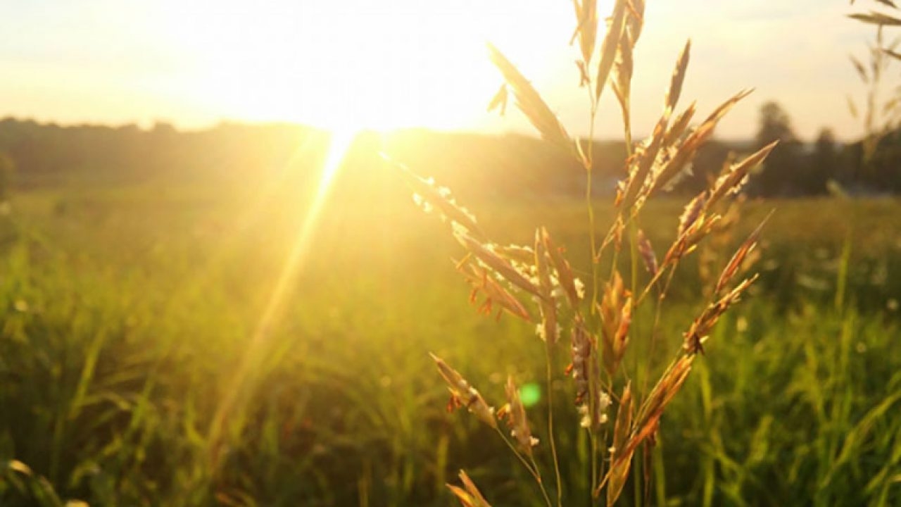 VRIJEME: Sunčano i toplo uz umjerenu oblačnost