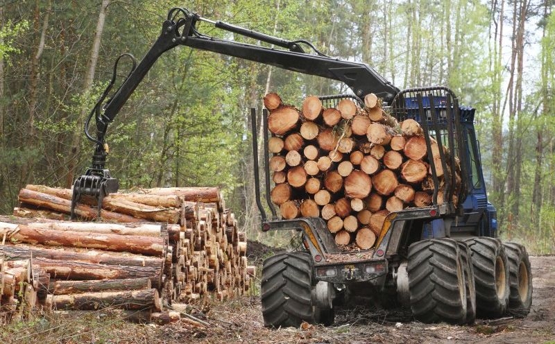 DOBOJ: Šumarska inspekcija zabranila sječu u šumskom gazdinstvu „Doboj-Doboj“