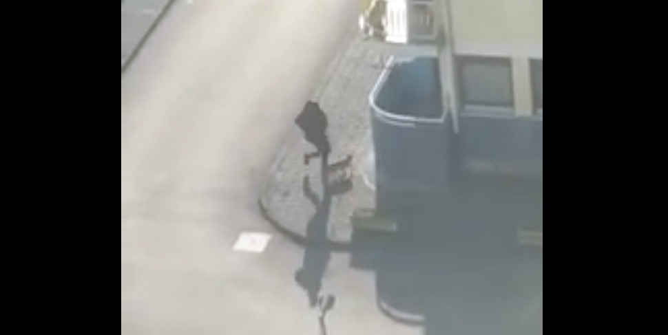 UZNEMIRUJUĆI VIDEO Identifikovan muškarac koji je udarao psa nogom