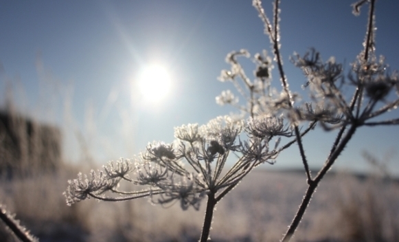 VRIJEME: Suvo i toplije