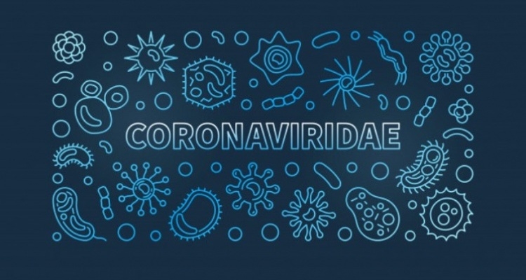 Zašto nije dobro zvati novi virus "koronavirus"?