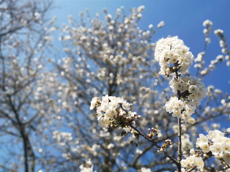 VRIJEME: Sunčano i prijatno, temperatura do 21 stepen