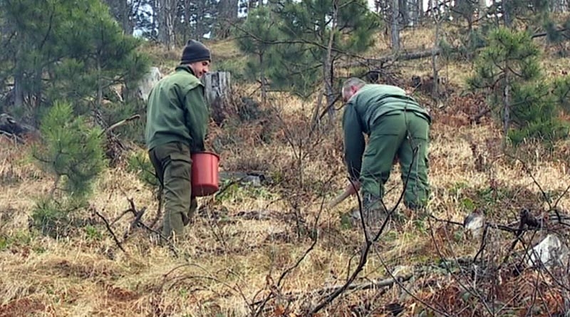 DOBOJ: Sušenje šume na području Ozrena dostiže nivo ekološke katastrofe