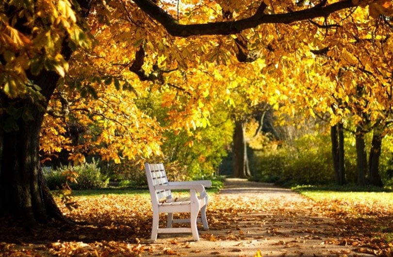 VRIJEME: Danas promjenljivo oblačno i toplo