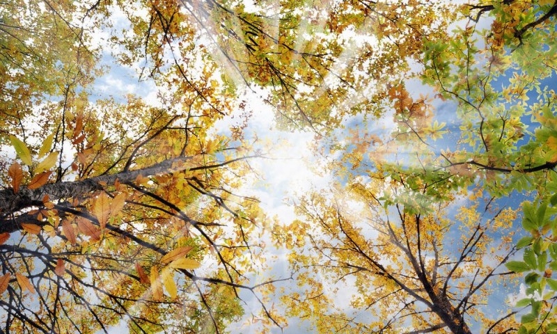 VRIJEME: Danas pretežno sunčano i toplije