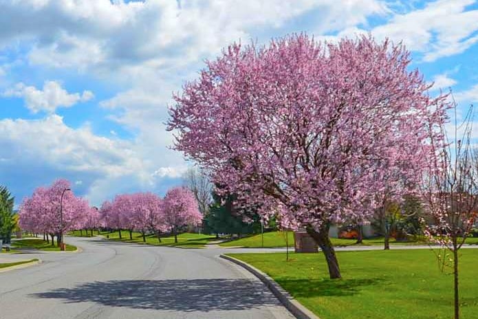VRIJEME: Sunčano i još toplije