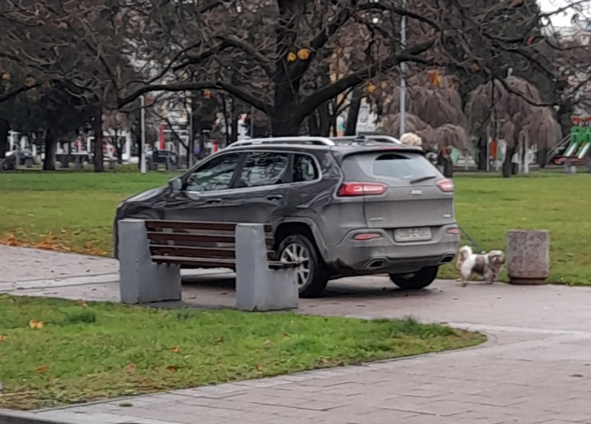 OTVOREN PARKING U GRADSKOM PARKU: Samo džipovi se mogu parkirati. (FOTO)