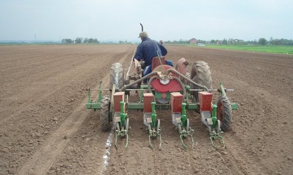 PETROVO: Podjela sjemenskih paketa 10, 11. i 12. aprila