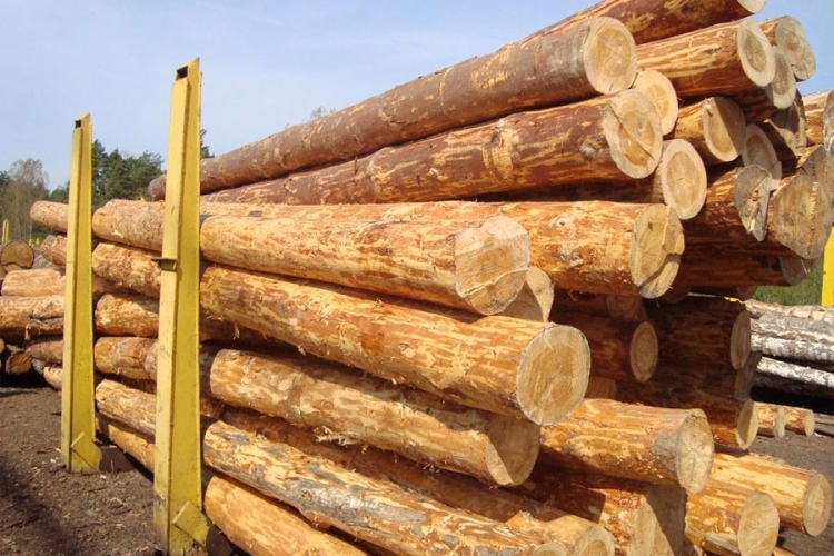 DOBOJ: Šumari mimo odluke firme isporučili trupce “Gori” iz Teslića i zakinuli druge drvoprerađivače