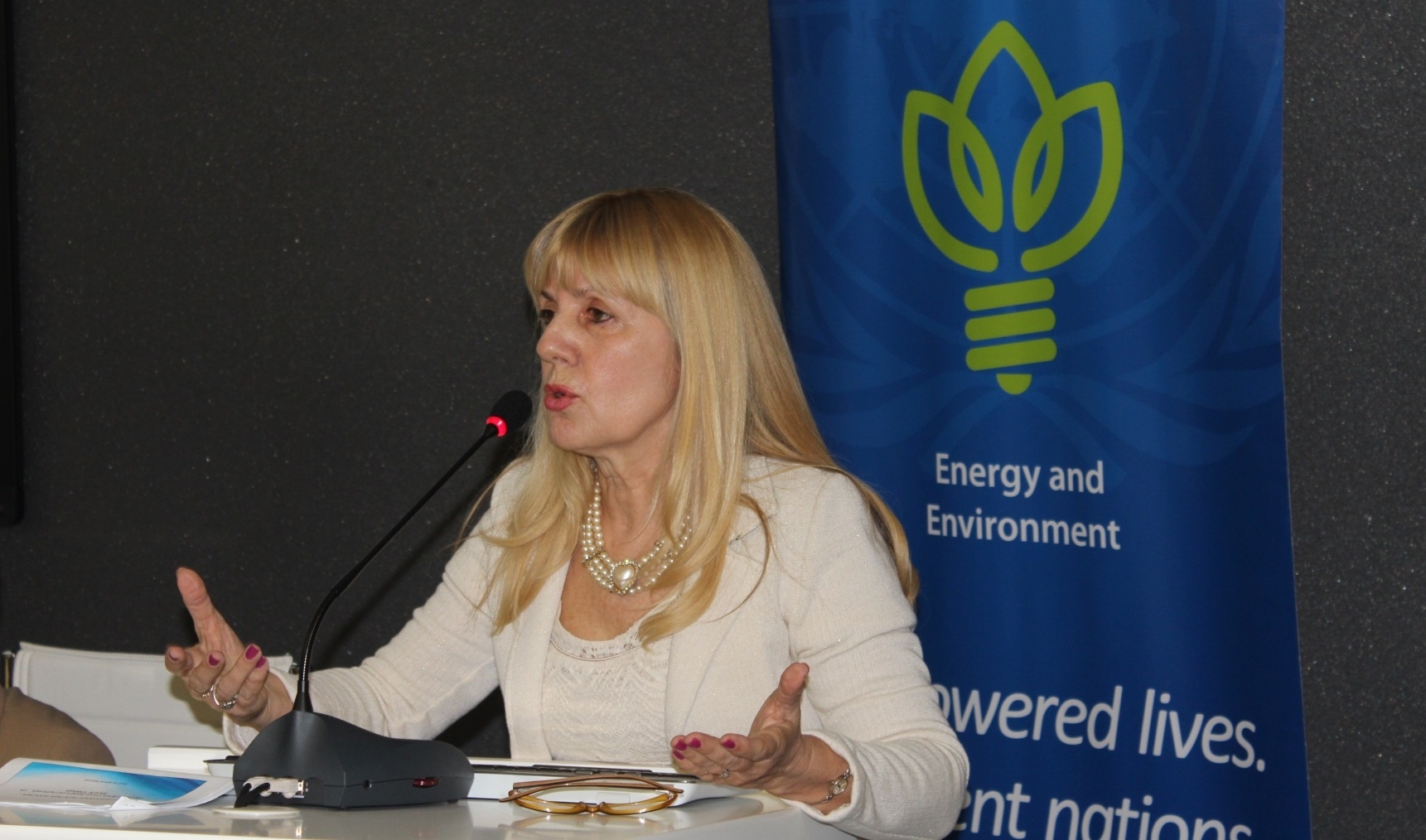 UNDP predstavio modele upravljanja rizicima od prirodnih katastrofa