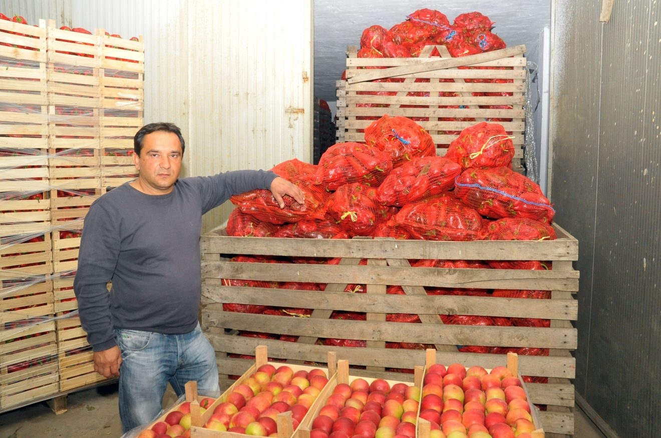Povrtlari traže zabranu uvoza ranog povrća iz Italije i Španije