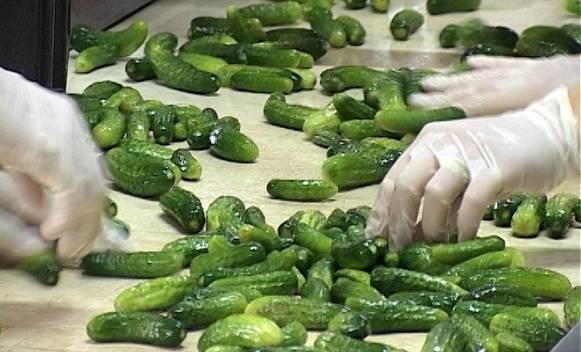 DOBOJ: Otkup kornišona neće biti sporan