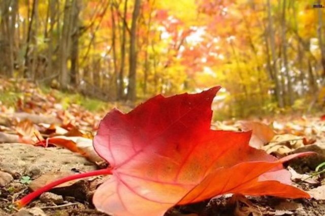 VRIJEME: Danas toplo i vjetrovito, temperatura do 19 stepeni