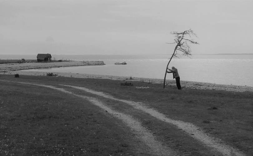 MOJE PRIZNANJE: Istina je, ja sam strani plaćenik koji širi beznađe po regiji!