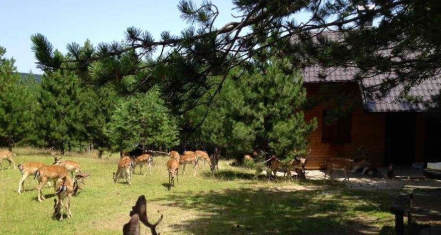 DOBOJ: Gradska vlast, protivno volji ovdašnjih stanovnika, predaje Ozren investitorima geoloških istraživanja i zainteresovanim za otvaranje rudnika