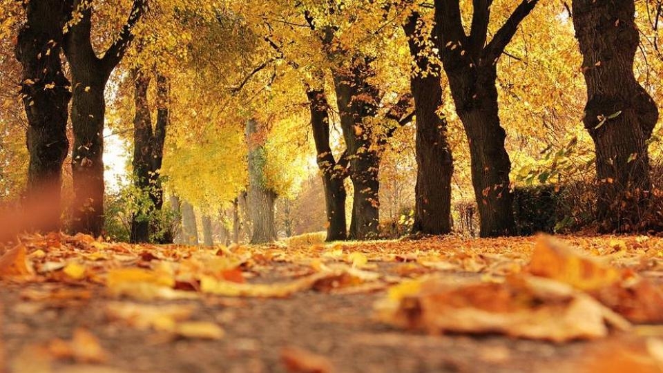 VRIJEME: Danas pretežno vedro, do večeri naoblačenje