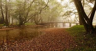 VRIJEME: Danas pretežno sunčano i postepeno toplije