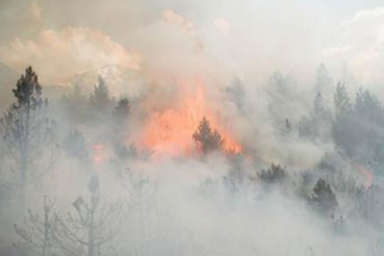 PETROVO: Širi se požar, vjetar raspiruje vatru