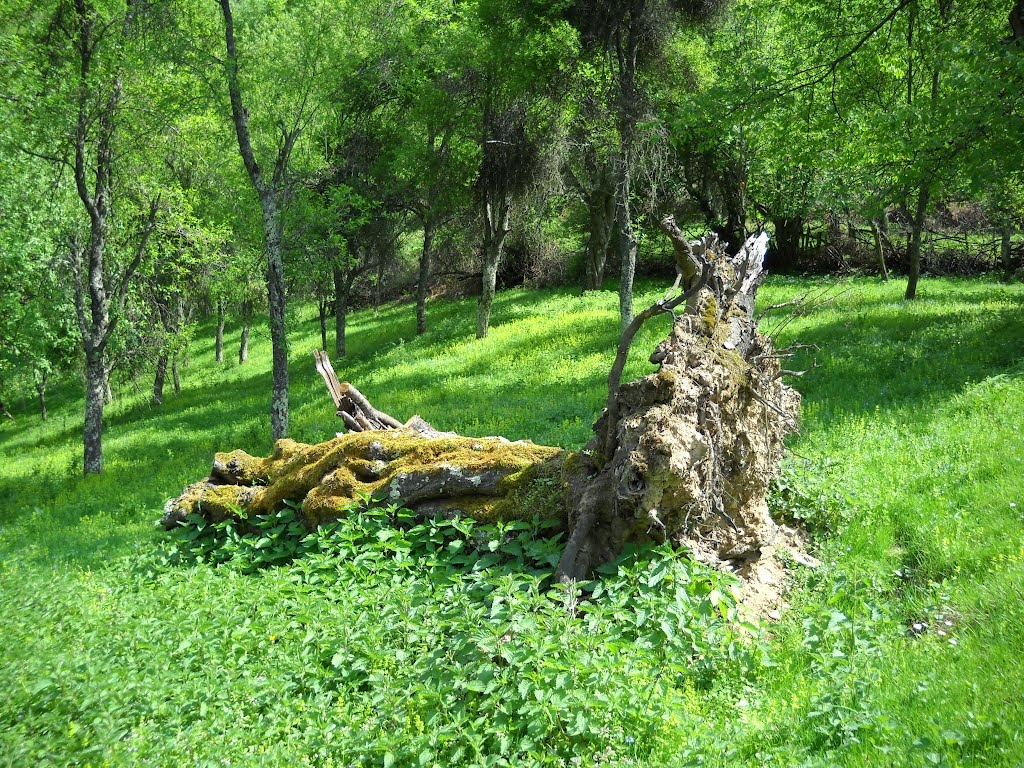 Čestitamo, palo poskupljenje!