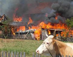 KAKMUŽ: Za porodicu Đurić prikupljeno skoro 13.000 KM pomoći
