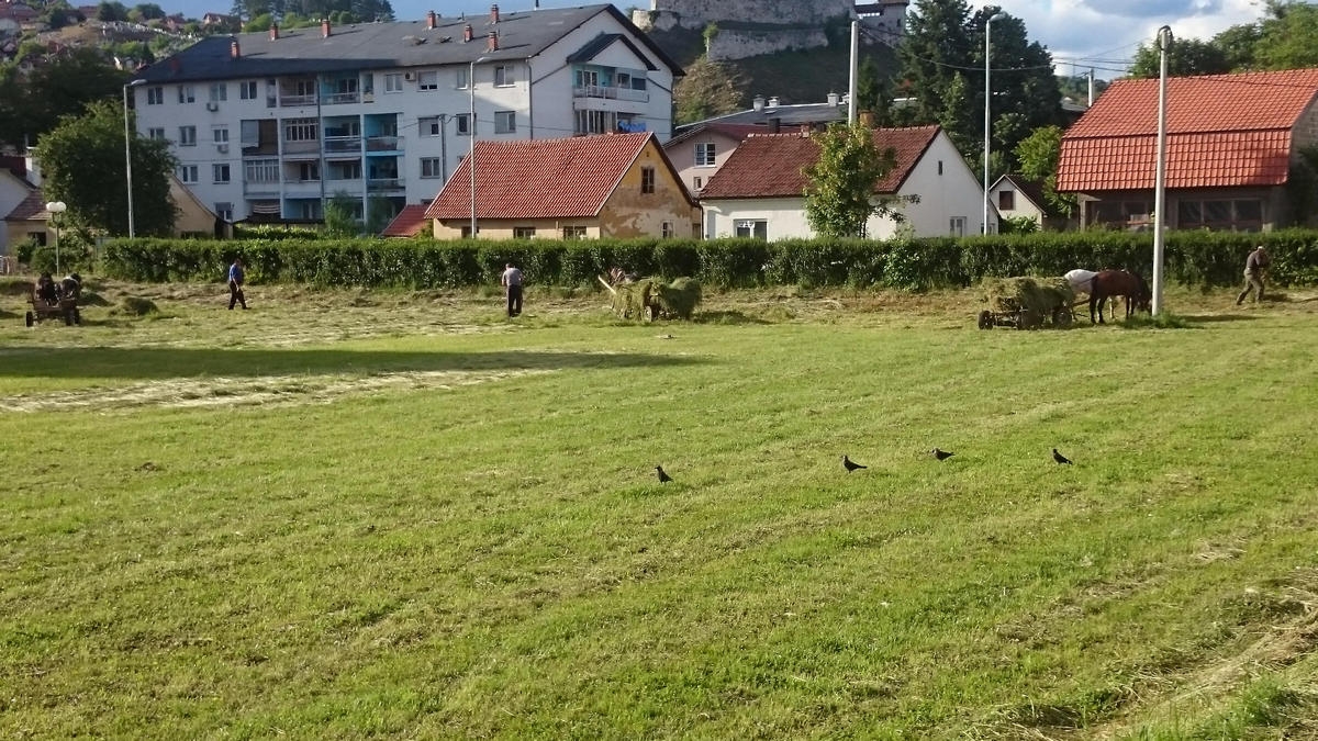 DOBOJSKI INFO PITA GRADONAČELNIKA: Kome grad plaća održavanje zelenila? (FOTO)
