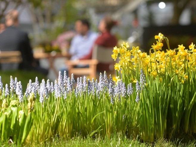 VRIJEME: Sunčan i sve topliji dan pred nama – maksimalna temperatura do 32 stepena