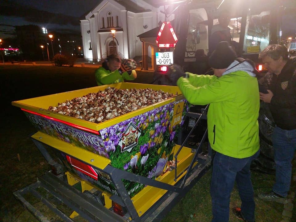 DOBOJ: Zasađeno 50.000 tulipana - poklon bratske opštine Celje