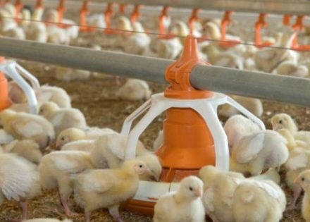 Isplaćeno 1.033.805 KM podsticaja