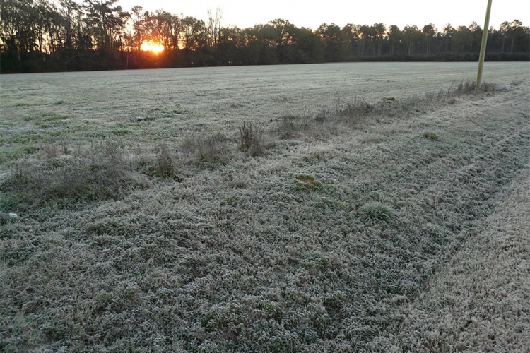 VRIJEME: Danas suvo i hladno