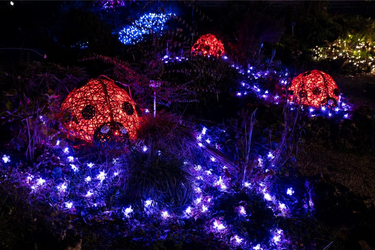 Festival svjetla Sarajevo naredna tri mjeseca obogaćuje ponudu Sarajeva