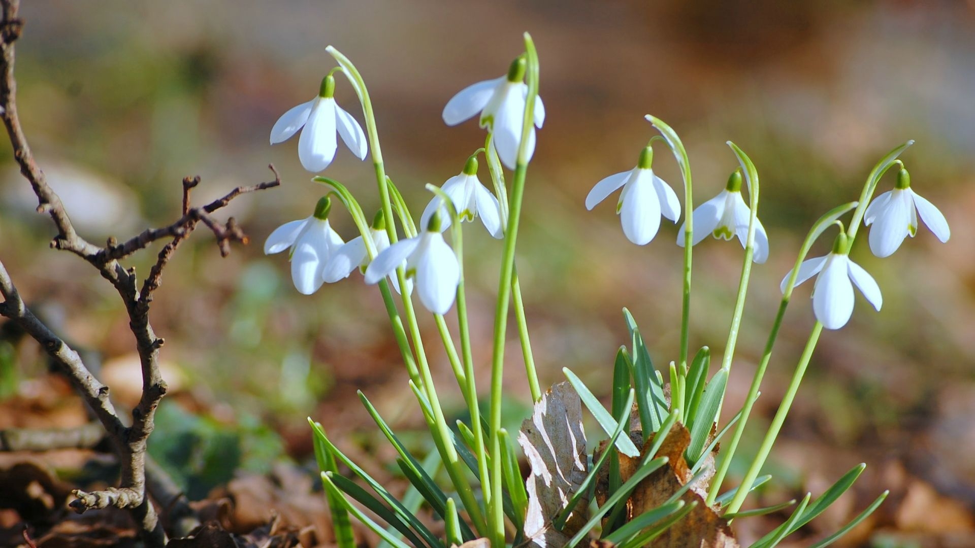 VRIJEME: Počelo proljeće, sunčano u toku dana