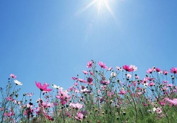 VRIJEME: Danas do 25 stepeni celzijusovih