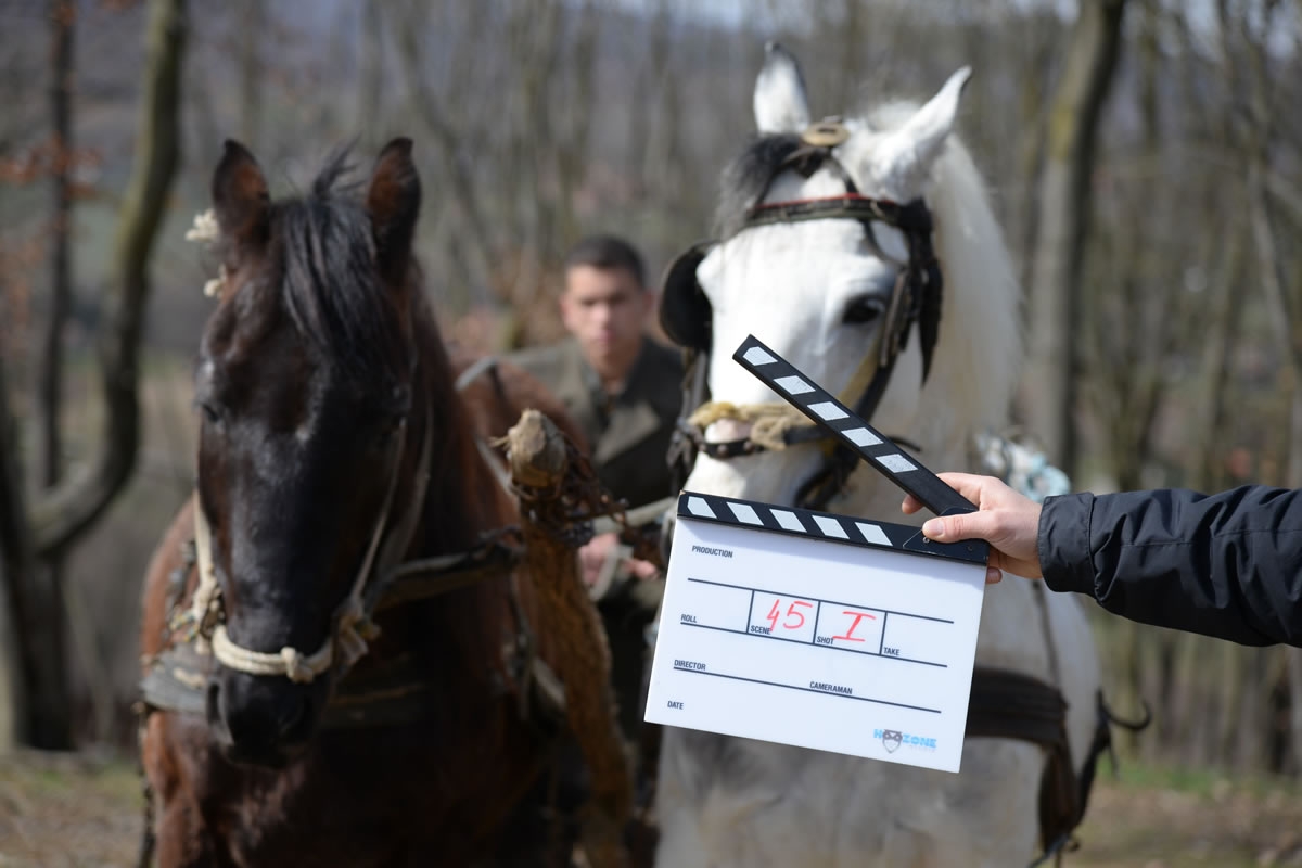 DOBOJSKI INFO VAS POZIVA: Pretpremijera filma "Spomenko na vječnoj straži"