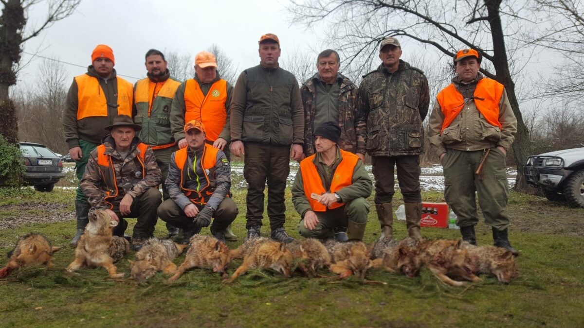 DOBOJSKI INFO NAJAVLJUJE: Lovačko udruženje "Motajica" iz Dervente najavljuje šestu Šakalijadu