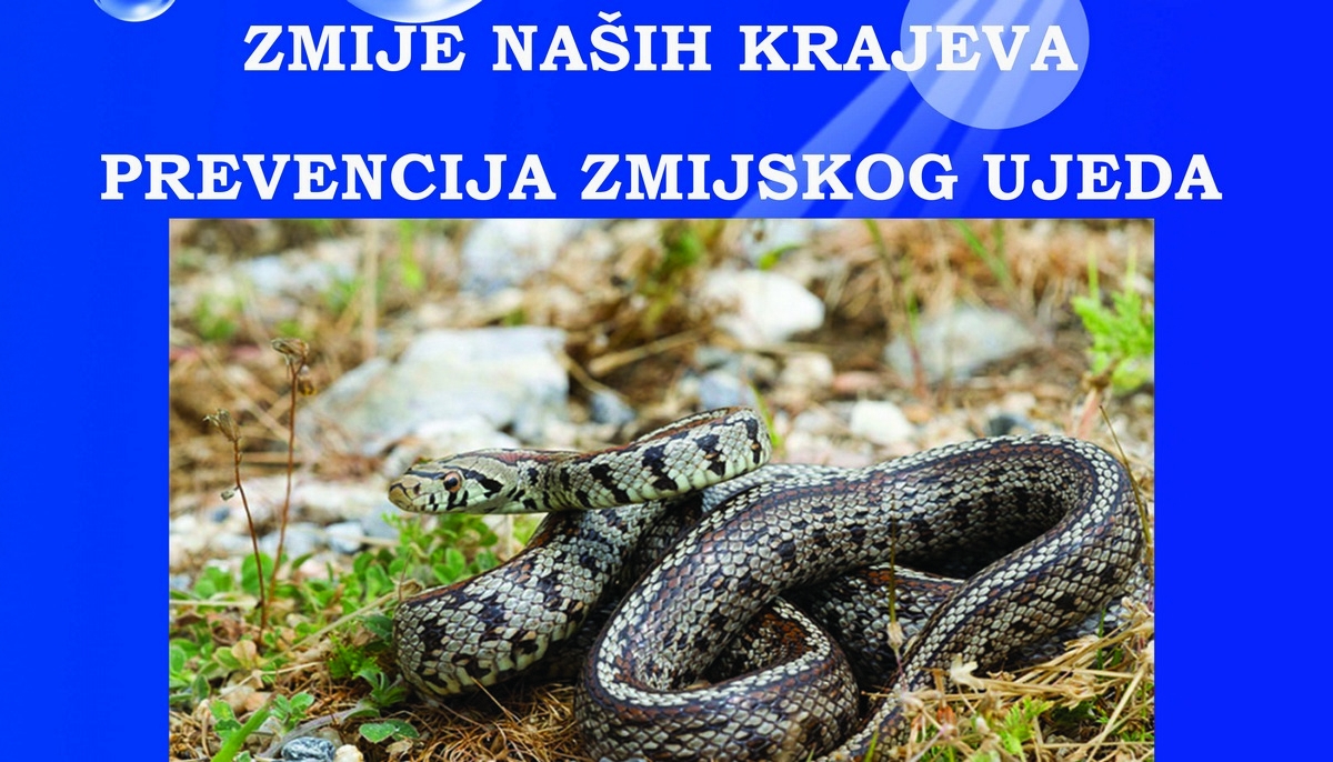 DOBOJSKI INFO NAJAVLJUJE: Predavanje o zmijama naših krajeva