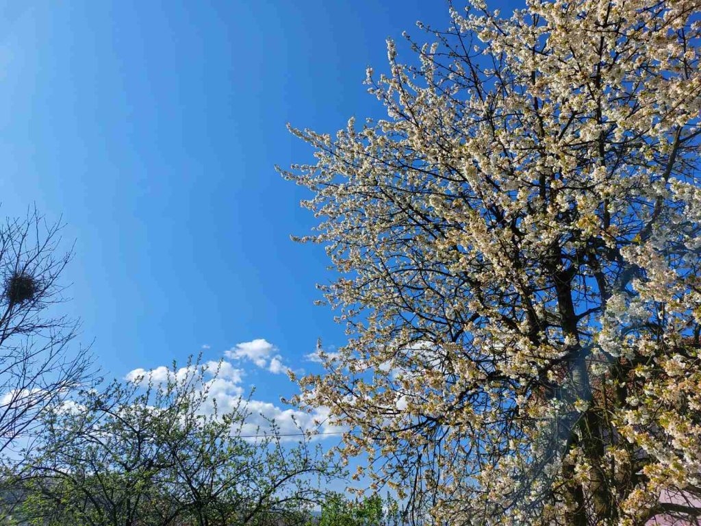 VRIJEME: Sunčano i toplo, veče donosi naoblačenje
