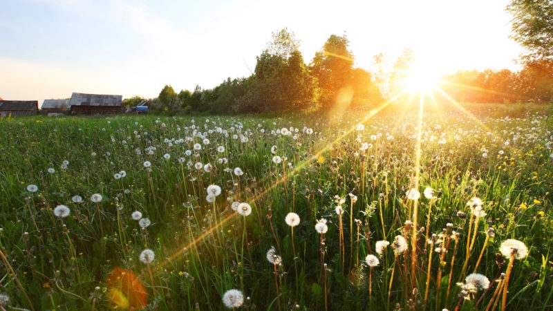 VRIJEME: Danas sunčano, uz postepeni porast temperature