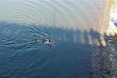 DOBOJ: Tradicionalni skok u rijeku Bosnu