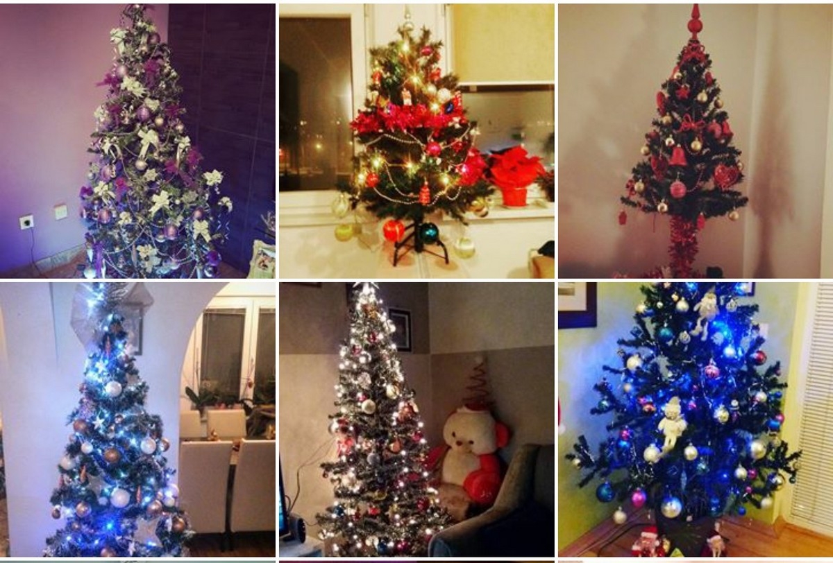 BIRA SE NAJLJEPŠA PRAZNIČNA JELKA Nekoliko jednostavnih koraka vas dijeli od tableta