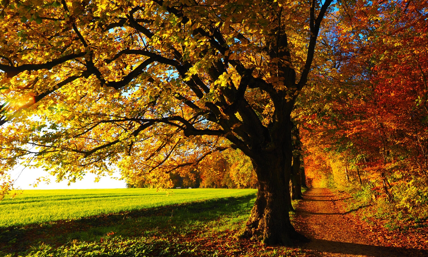 VRIJEME: Pretežno oblačno, u nastavku dana razvedravanje
