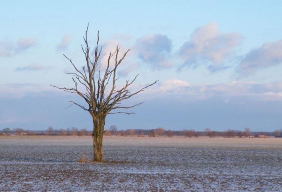 VRIJEME: Danas promjenljivo oblačno i prohladno