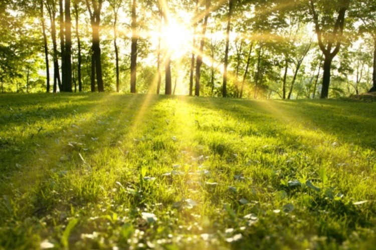 VRIJEME: Sunčano i toplo, popodne mjestimično pljuskovi