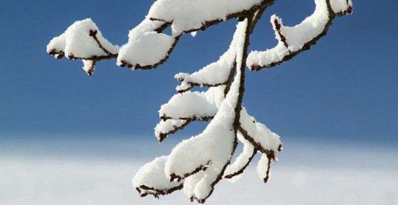 VRIJEME: Danas sunčanije, uveče naoblačenje