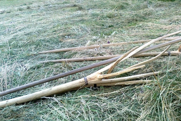 DOBOJ: Komšinicu ubola vilama preko ograde