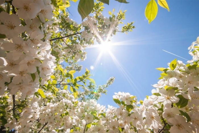 VRIJEME: Danas pretežno sunčano, uz prijatnu temperaturu