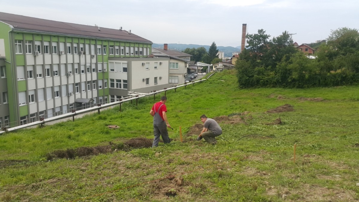 BOLNICA DOBOJ: Sadnja paulovnije zaštita od klizišta (FOTO)