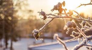 VRIJEME: Danas sunčano i prohladno