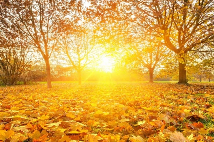 VRIJEME: Danas pretežno sunčano, do 19 stepeni